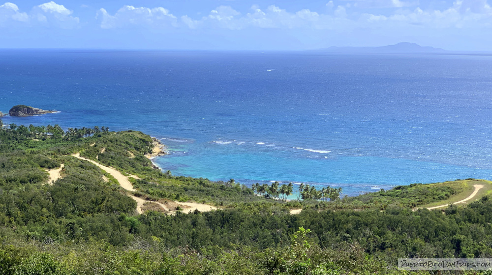 Guayanes Dry Forest