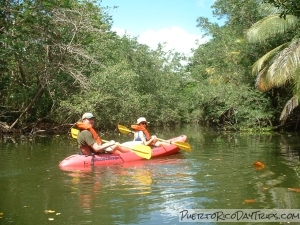 Kayaking in the Humacao Nature Reserve