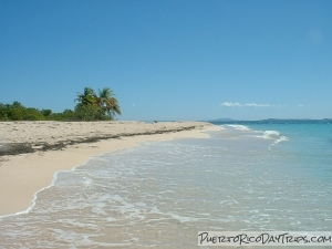 Icacos Island