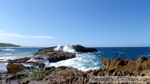 Isabela Beaches