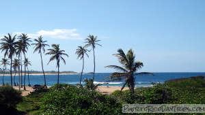 Playa Punta Sardinera