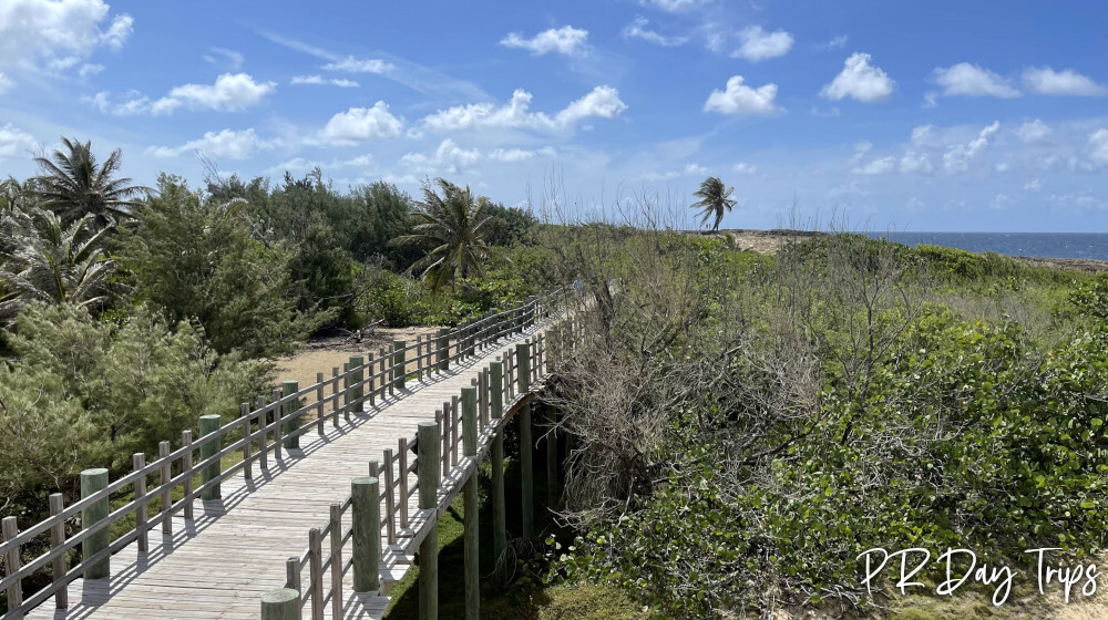 Paseo Lineal Costero Isabela