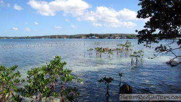 Isla Ratones