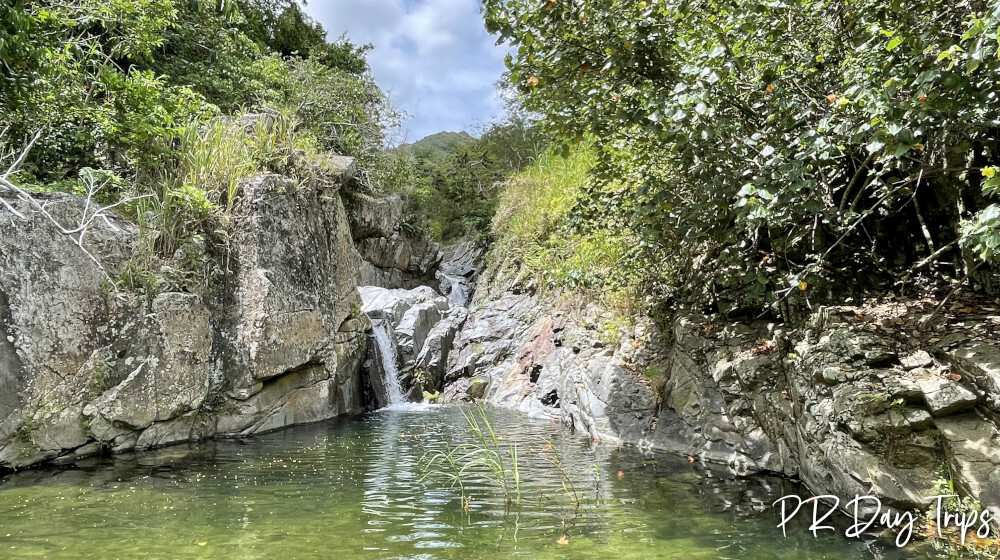 Jayuya Rio Caricaboa