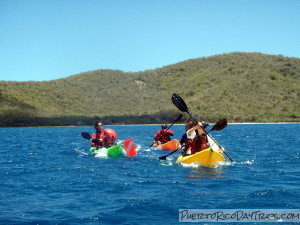 Kayaking at Luis Pena Nature Reserve on Culebra