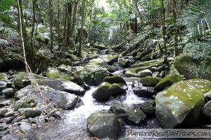 First River Crossing on La Coca Trail