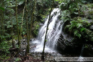 Waterfall along La Coca Trail