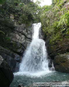 La Mina Falls, El Yunque National Forest