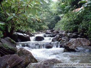 La Mina River