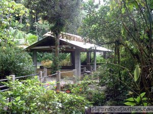 Picnic Shelter