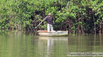 La Paseadora on Río Espiritu Santo