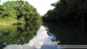 La Paseadora on Río Espiritu Santo