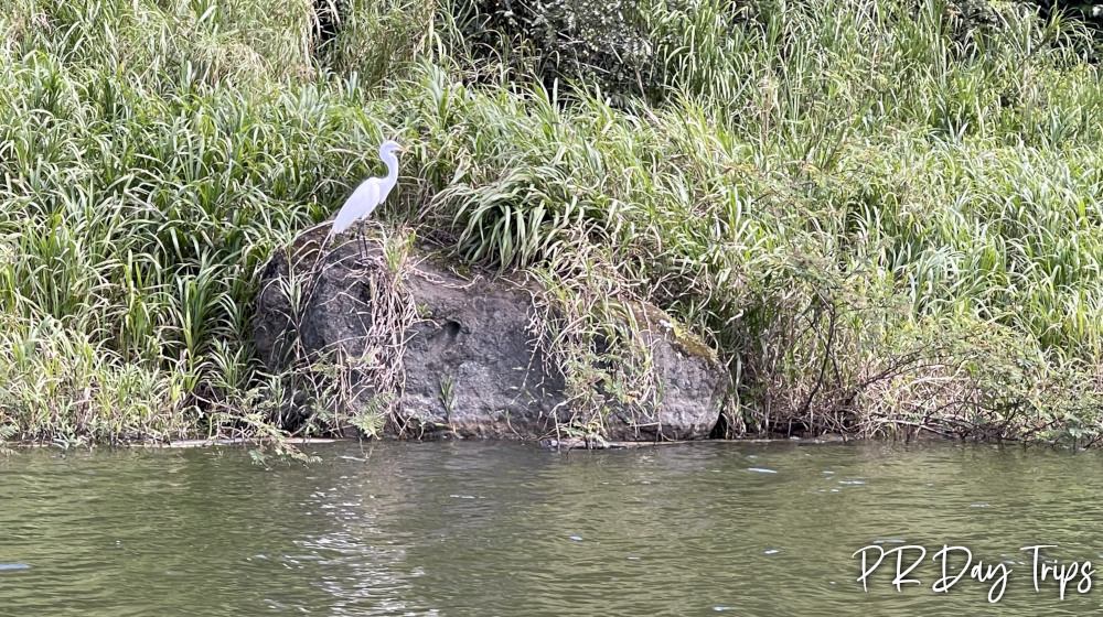 La Plata Boat Trip