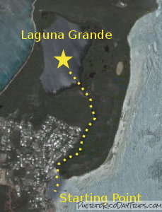 Laguna Grande Bio Bay in Fajardo