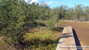 Laguna Guaniquilla