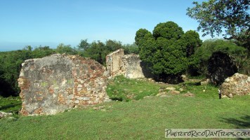 Laguna Guaniquilla