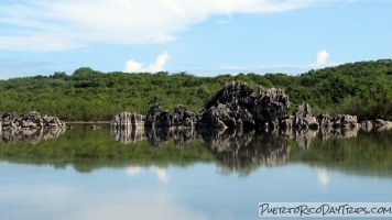 Laguna Guaniquilla