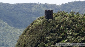 Los Picachos Trail