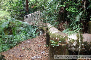 Los Prieto Falls