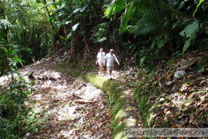 Los Prieto Falls