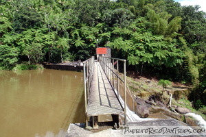 Los Prieto Falls