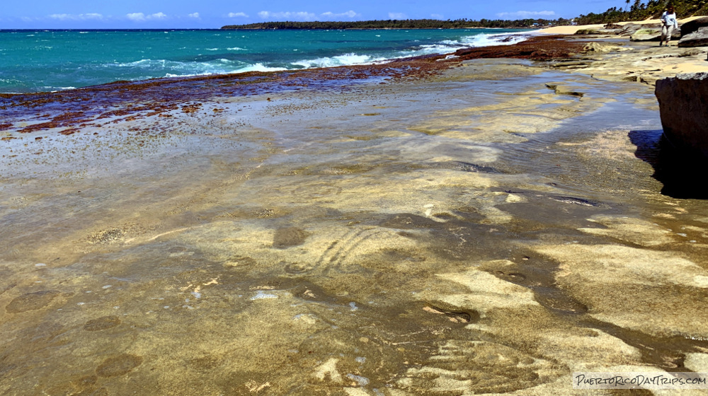 Playa Los Tubos Petroglyphs