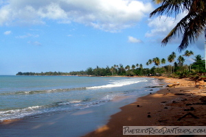 Playa Fortuna