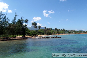 Luquillo Beach (behind the Kiosks)