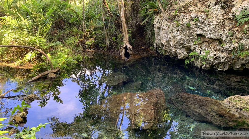 Manantial de Guayaney