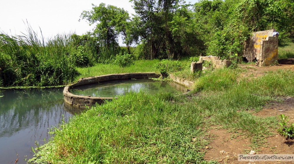 Manantial de Vega Baja