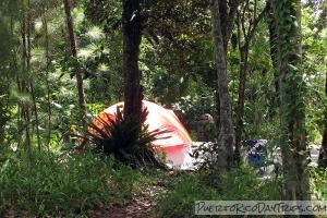 Parque Ecologico Monte del Estado