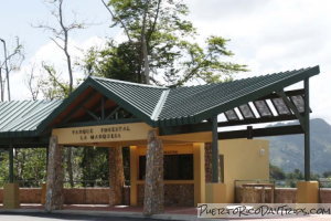 La Marquesa Forest park