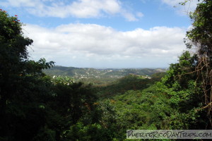 La Marquesa Forest park