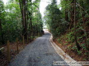 La Marquesa Forest park