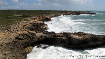 Meseta Trail in Guanica Dry Forest