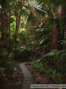 Mount Britton Trail