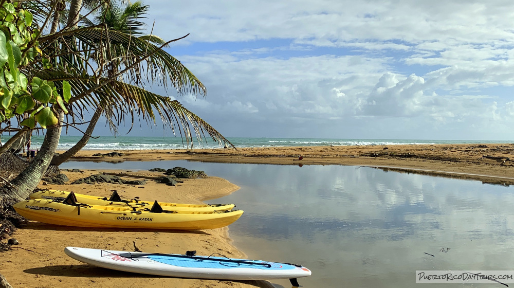 NEC Kayaking