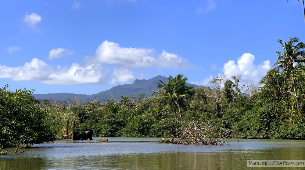 NEC Kayaking