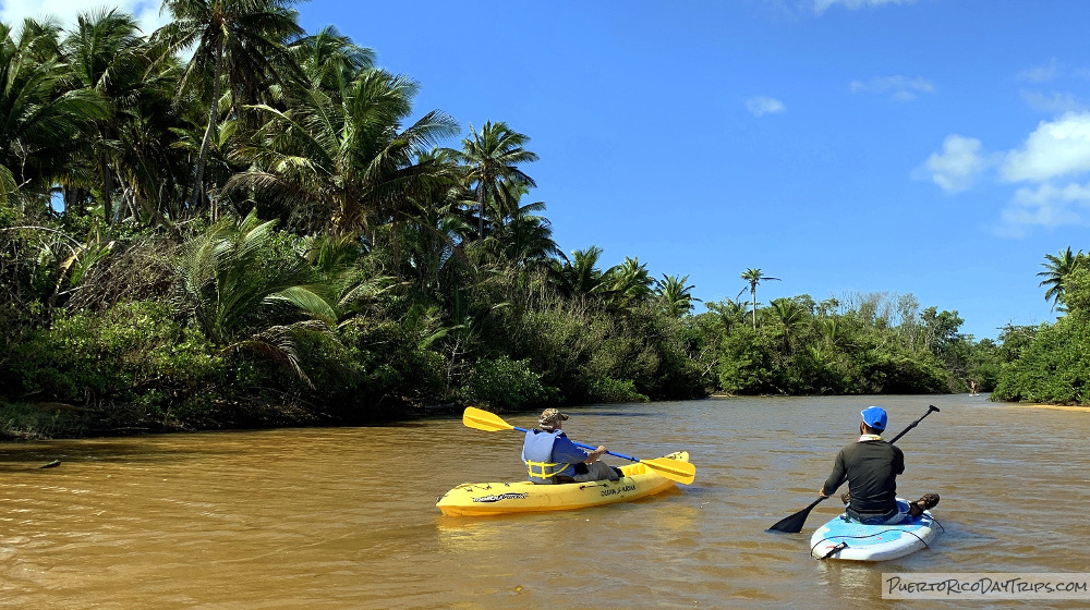 NEC Kayaking