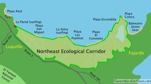 Luquillo. in Fajardo, the Northeast Ecological Corridor covers more than......