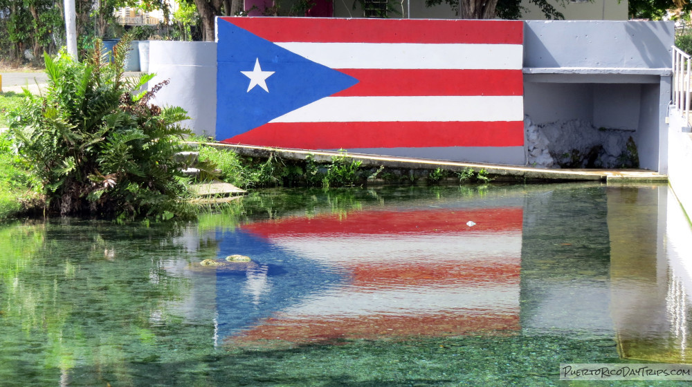 Ojo de Agua in Vega Baja