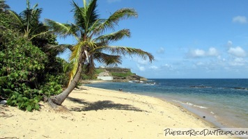 Puerto Rico Day Trips Travel Guide