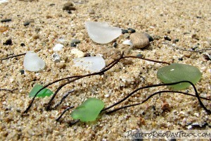 Old San Juan Beach Seaglass