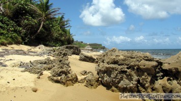 Old San Juan Beach Seaglass