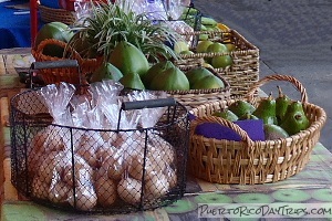 Organic Farmers Market in Old San Juan