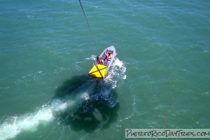 Parasailing