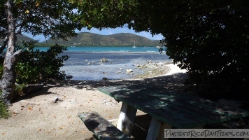 Boat Rental at La Parguera