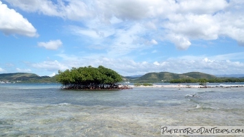 Kayaking in La Parguera