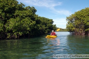 Kayaking in La Parguera