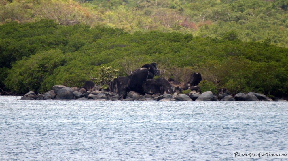 Piedra del Indio Wuanikí Bawá